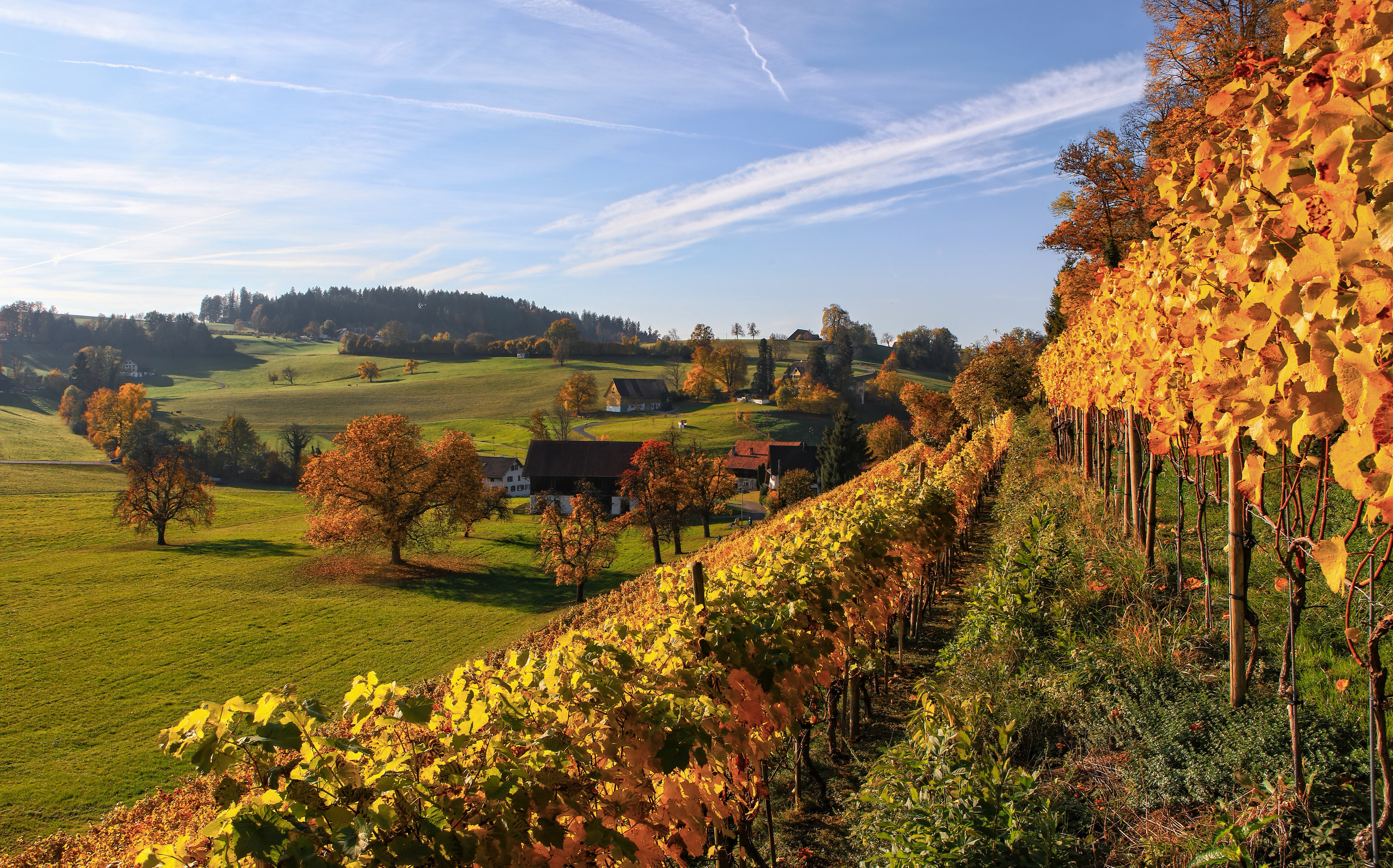 Arbois